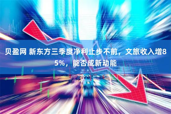 贝盈网 新东方三季度净利止步不前，文旅收入增85%，能否成新动能