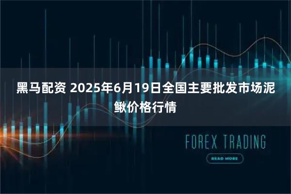 黑马配资 2025年6月19日全国主要批发市场泥鳅价格行情