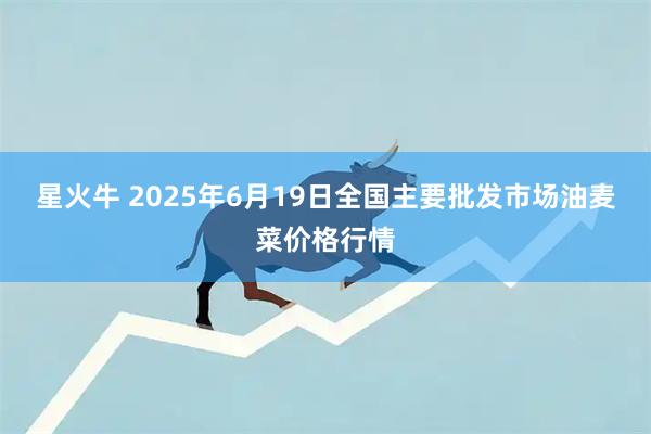 星火牛 2025年6月19日全国主要批发市场油麦菜价格行情
