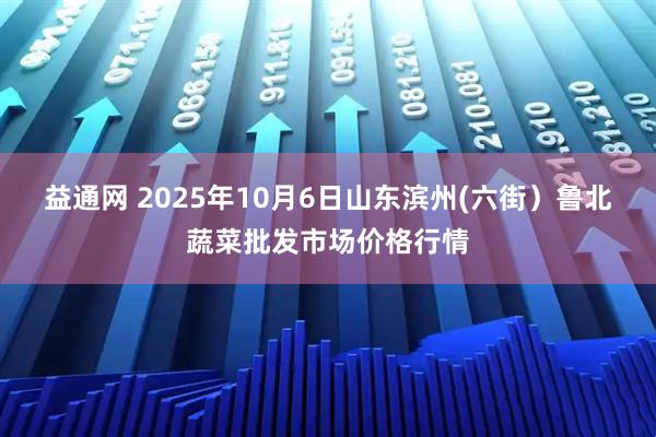 益通网 2025年10月6日山东滨州(六街）鲁北蔬菜批发市场价格行情