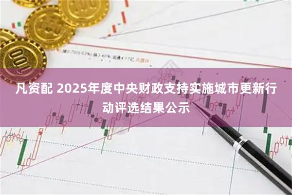 凡资配 2025年度中央财政支持实施城市更新行动评选结果公示