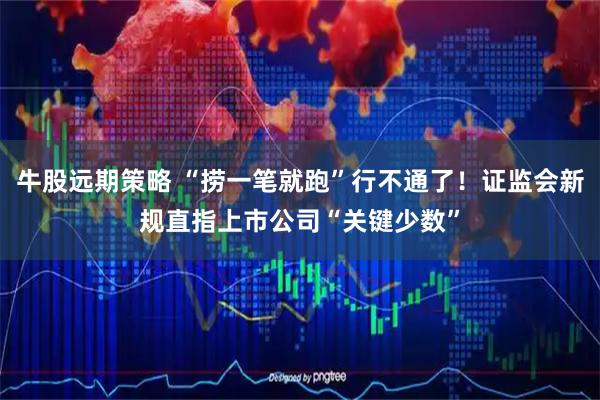 牛股远期策略 “捞一笔就跑”行不通了!证监会新规直指上市公司“关键少数”