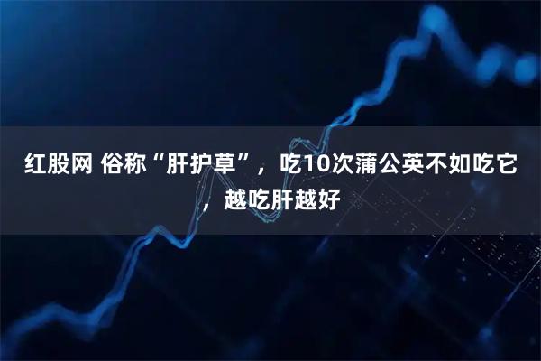 红股网 俗称“肝护草”，吃10次蒲公英不如吃它，越吃肝越好