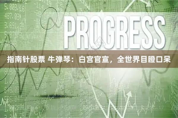 指南针股票 牛弹琴:白宫官宣,全世界目瞪口呆